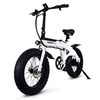 Defiant Fat Tire Folding Electric Bike